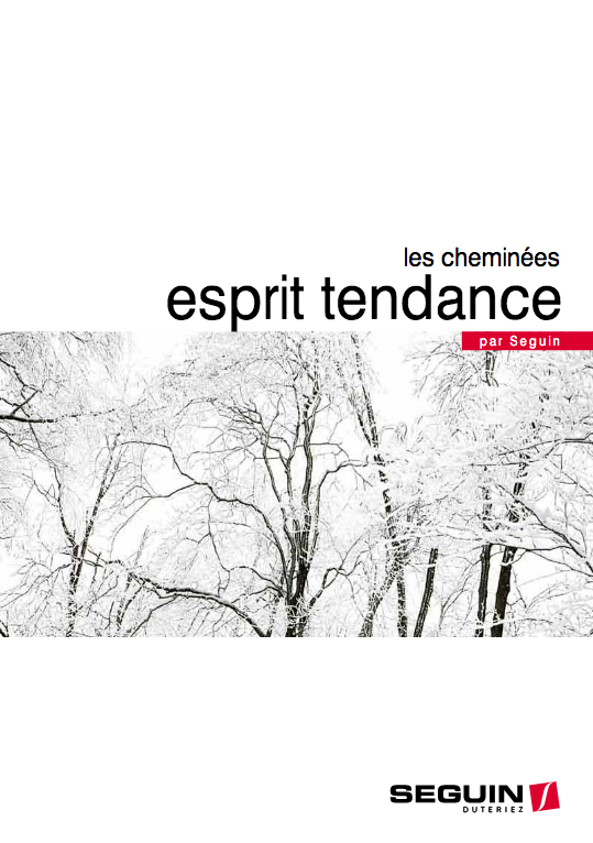 Cheminées esprit tendance