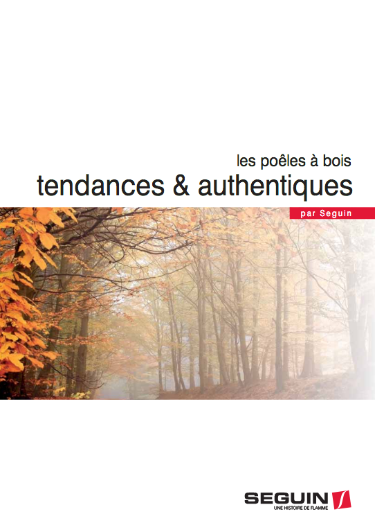 Poêles à bois