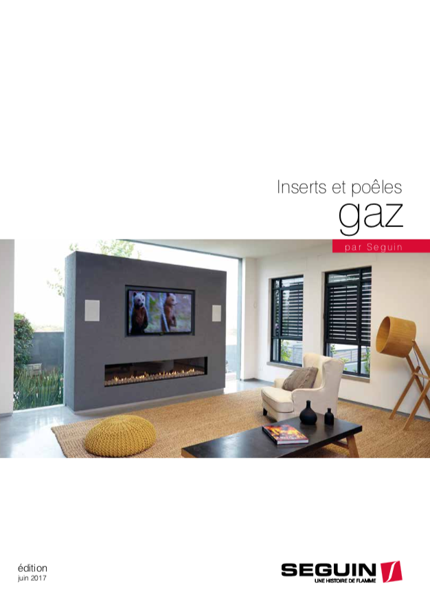 Inserts et poêles Gaz