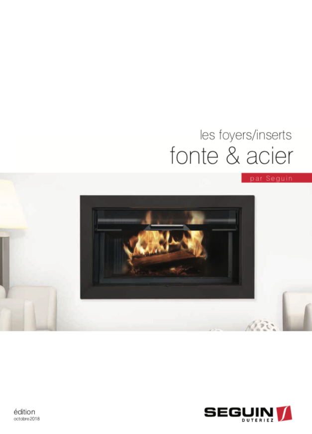 Foyers et inserts fonte & acier